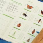 Insekten App