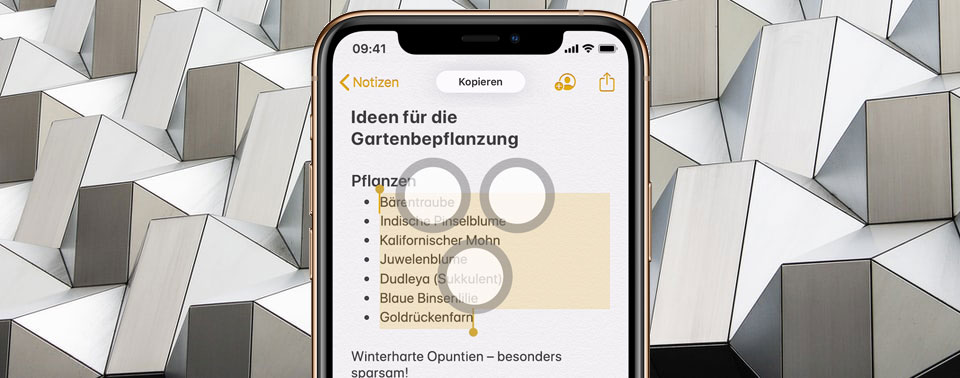 Iphone Tipp Kopieren Und Einfugen Mit Drei Fingern Iphone Ticker De