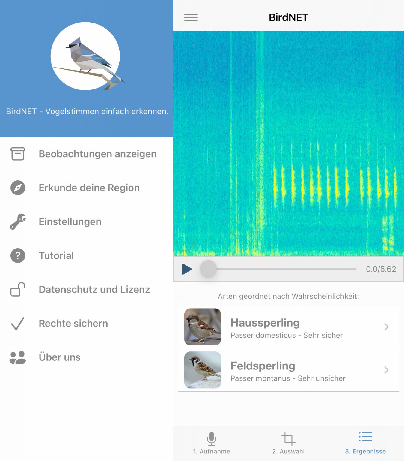 Geheimtipp BirdNET aktualisiert: App erkennt Vogelstimmen auf dem ...