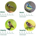 Vogel Arten