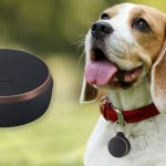 Vodafone Curve Hunde Tracker