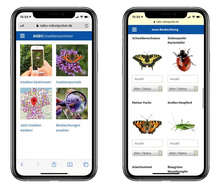 Insektensommer App