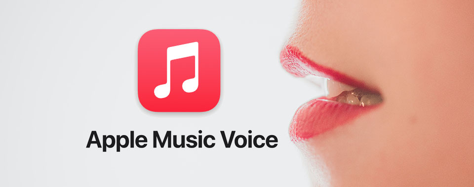 Apple voice