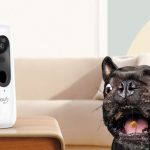 Eufy Dog Cam Feature