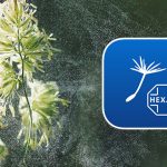 Hexal Pollen App Feature ZAoR6t7mvoM