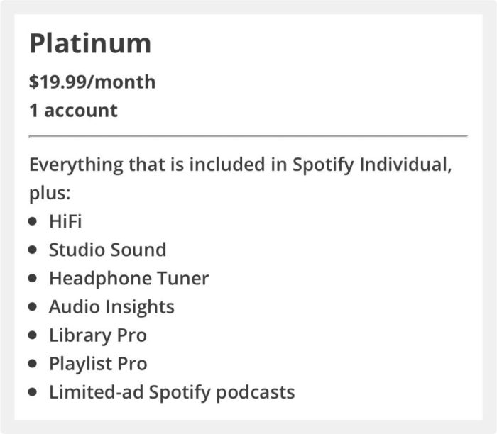 Spotify Platinum Abo