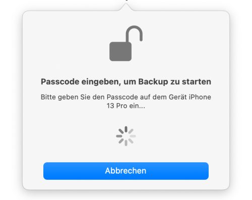 Passcode Eingeben Backup