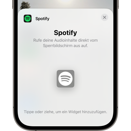 Spotify Widget
