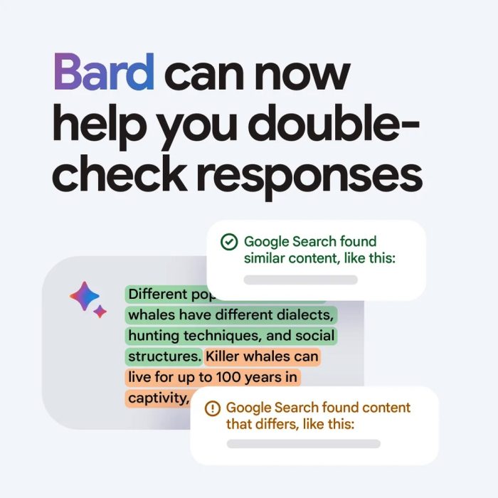 Google Bard Check