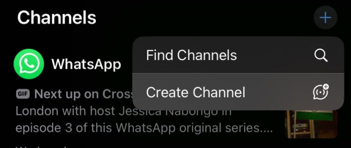 Whatsapp Channel Add