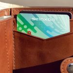 Seinxon Wallet Tracker Feature