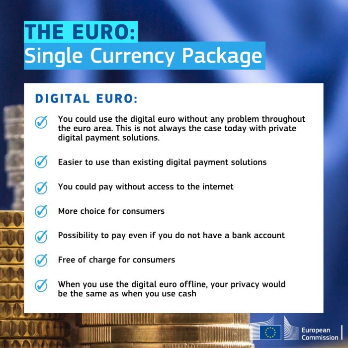 Digitaler Euro Zukunft