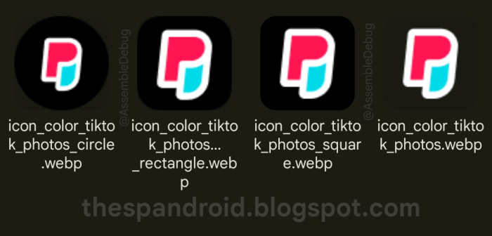 Tiktok Photos Icon