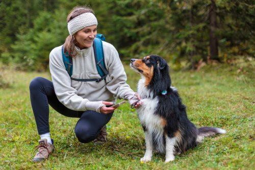 Brennstuhl Smart Tracker Hund 0