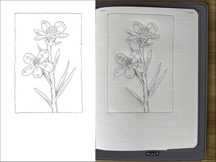 Xppen Note Plus Sketch2B