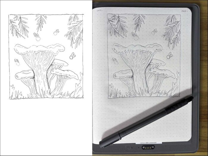 Xppen Note Plus Sketch3B